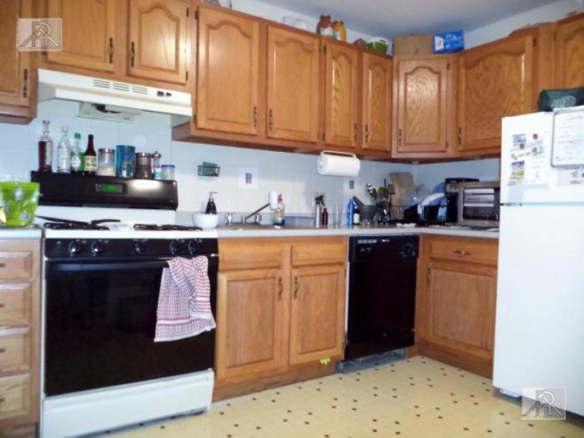 Picture of Apartment For Rent in Brookline, Massachusetts, United States