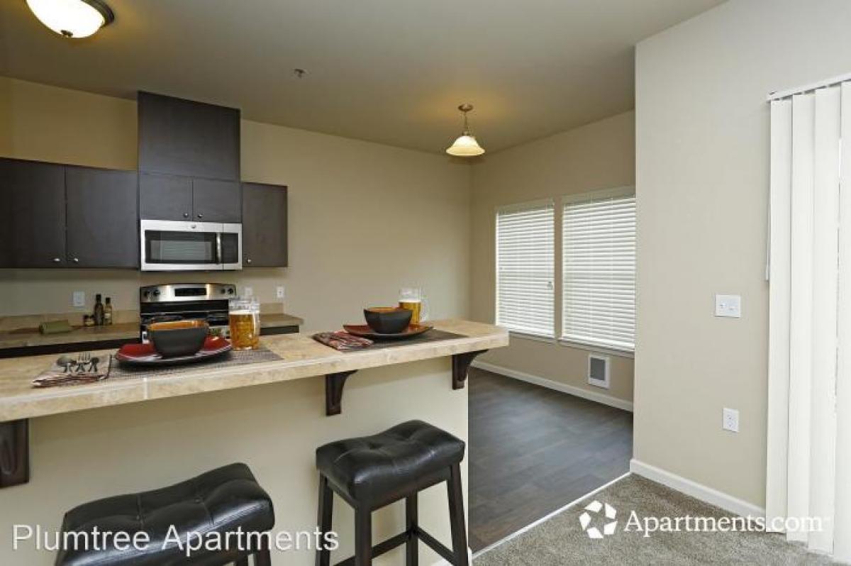 Picture of Apartment For Rent in Albany, Oregon, United States