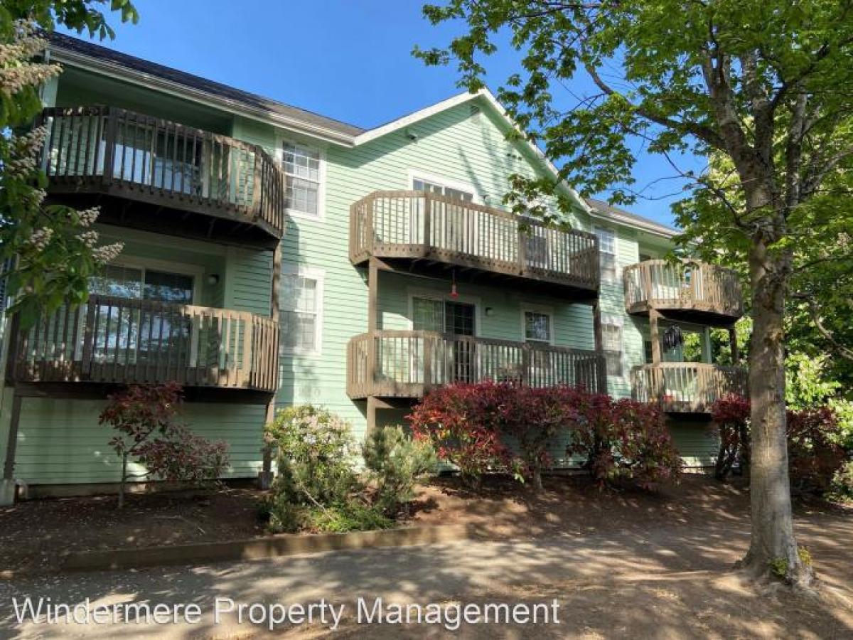 Picture of Apartment For Rent in Bellingham, Washington, United States