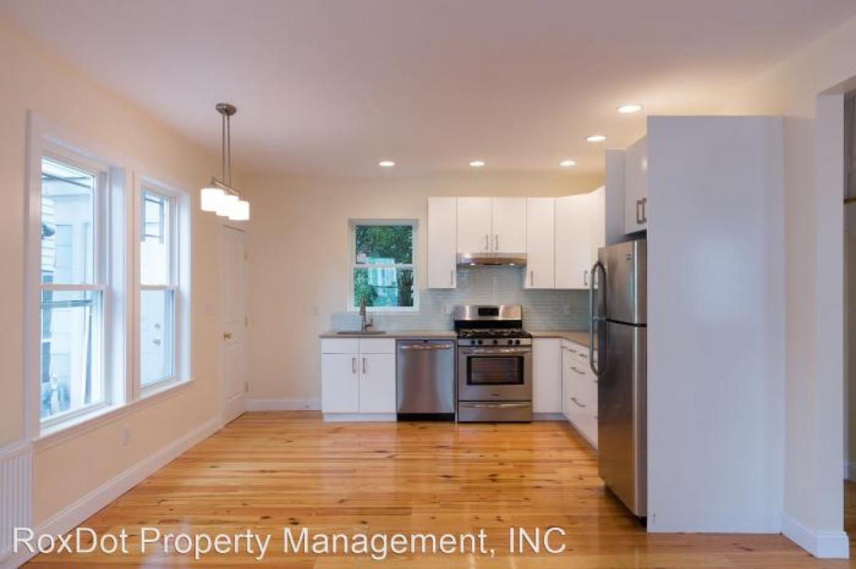 Picture of Apartment For Rent in Roxbury, Massachusetts, United States