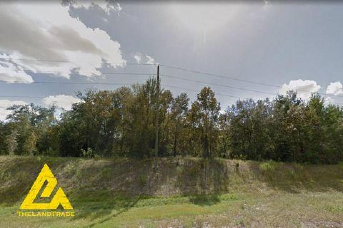 Picture of Residential Land For Sale in Bronson, Florida, United States