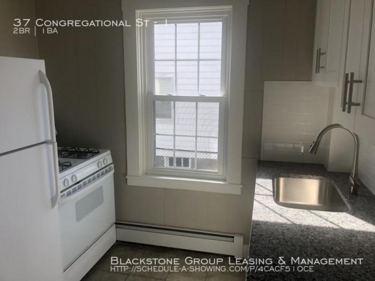 Picture of Apartment For Rent in Bristol, Rhode Island, United States