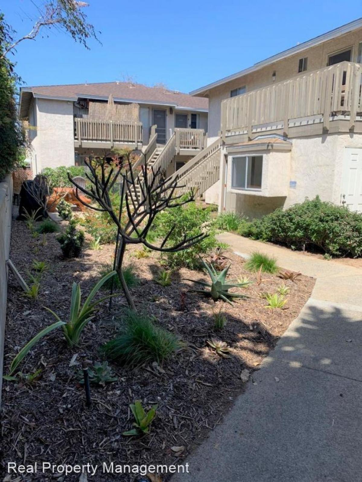 Picture of Apartment For Rent in Carlsbad, California, United States