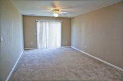 Apartment For Rent in Columbia, Missouri