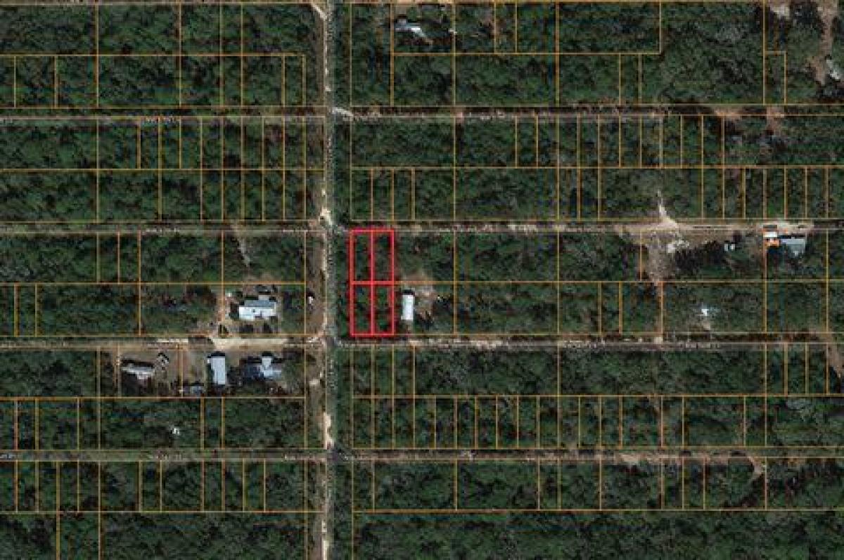 Picture of Residential Land For Sale in Chiefland, Florida, United States