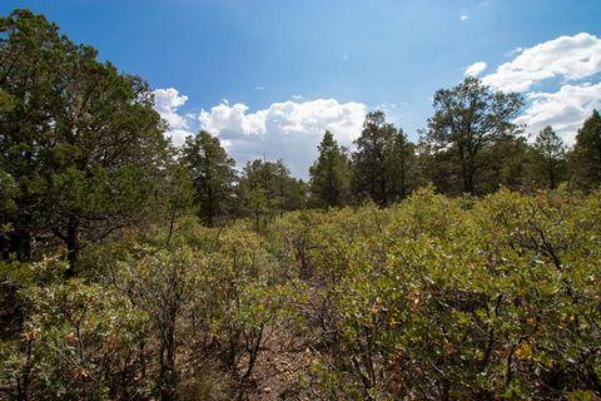 Picture of Residential Land For Sale in Cloudcroft, New Mexico, United States