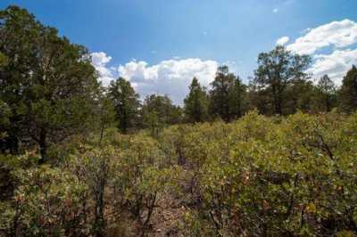 Residential Land For Sale in Cloudcroft, New Mexico