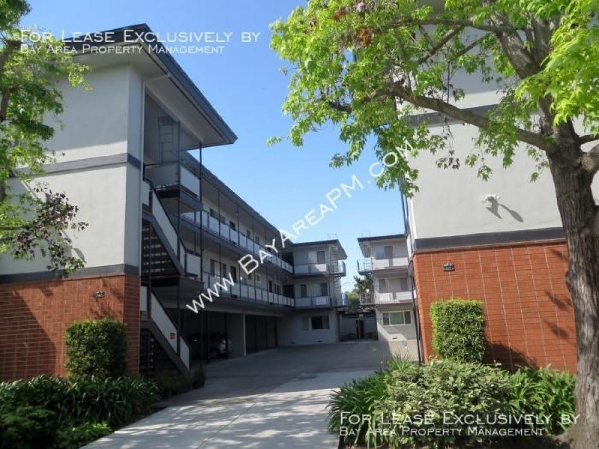 Picture of Apartment For Rent in Burlingame, California, United States