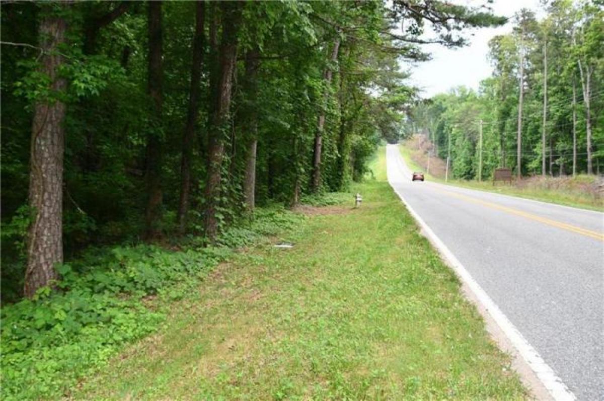 Picture of Residential Land For Sale in Marble Hill, Georgia, United States