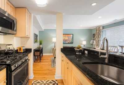 Home For Rent in Brookline, Massachusetts