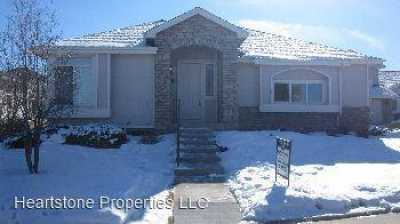 Home For Rent in Castle Rock, Colorado