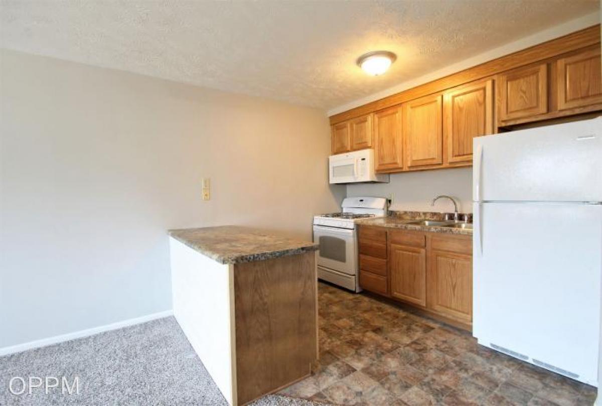 Picture of Apartment For Rent in Omaha, Nebraska, United States