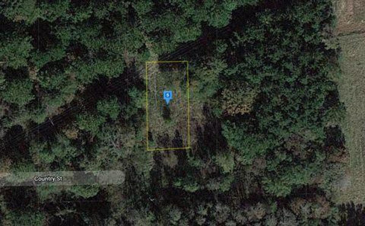 Picture of Residential Land For Sale in Coldspring, Texas, United States