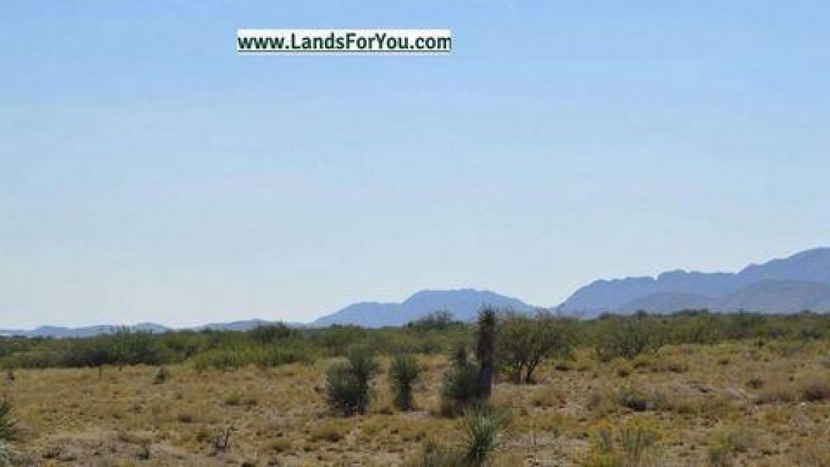 Picture of Residential Land For Sale in Pearce, Arizona, United States