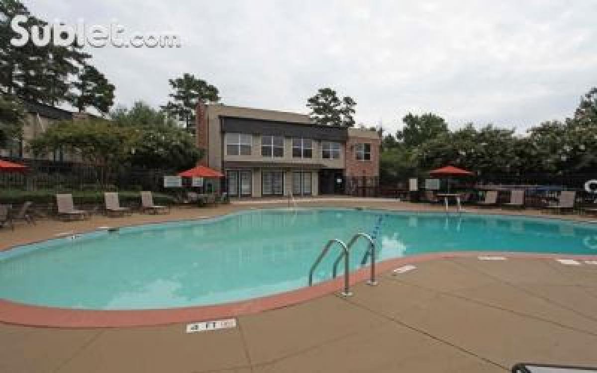 Picture of Apartment For Rent in Richland, South Carolina, United States