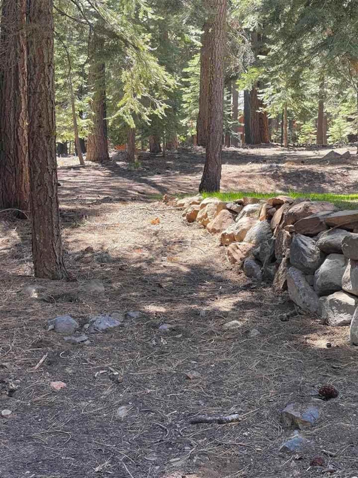 Picture of Residential Land For Sale in Truckee, California, United States