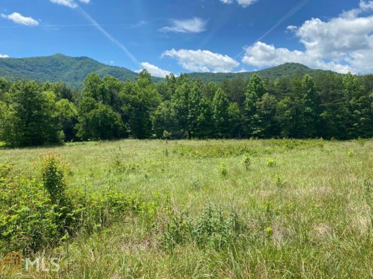 Picture of Residential Land For Sale in Young Harris, Georgia, United States