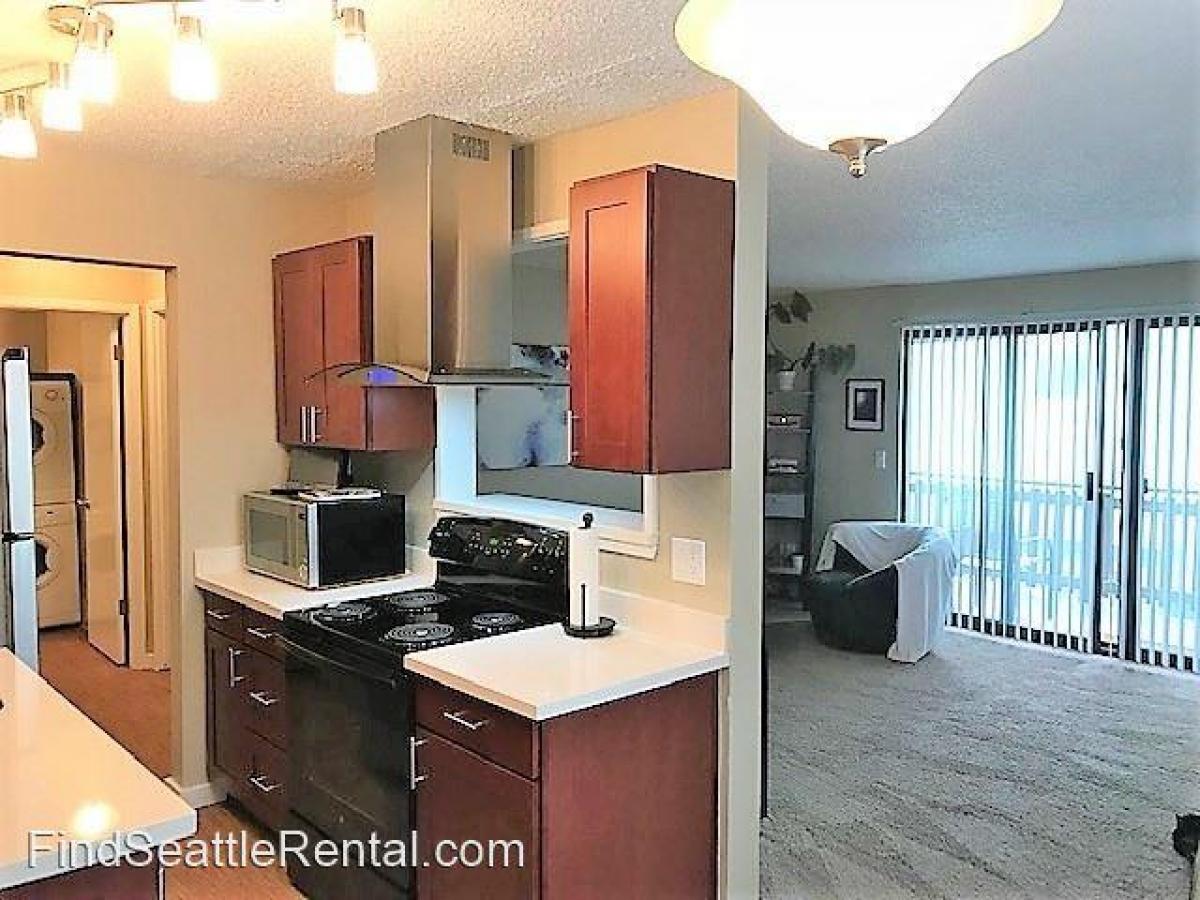 Picture of Apartment For Rent in Seattle, Washington, United States