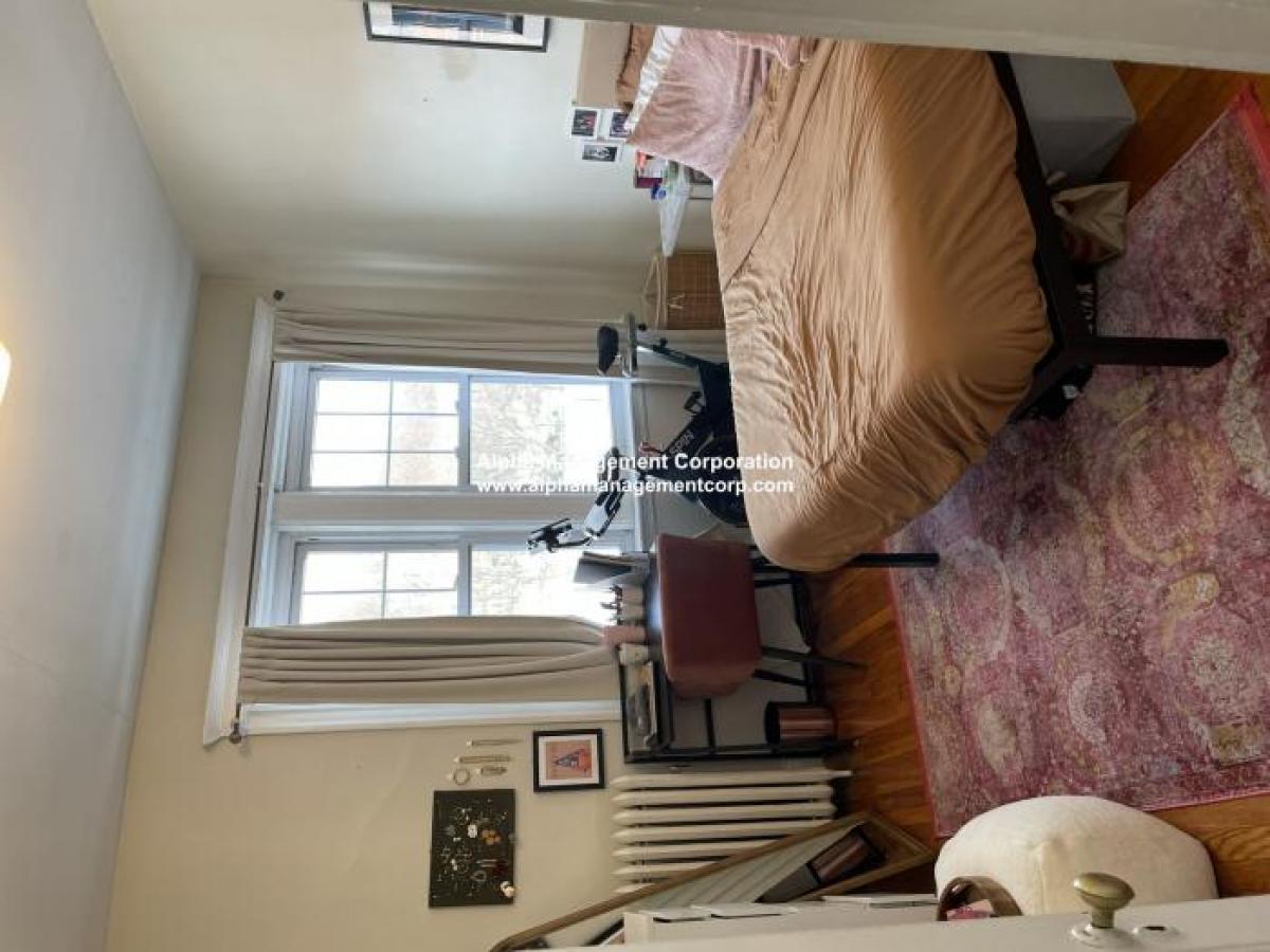 Picture of Condo For Rent in Brookline, Massachusetts, United States