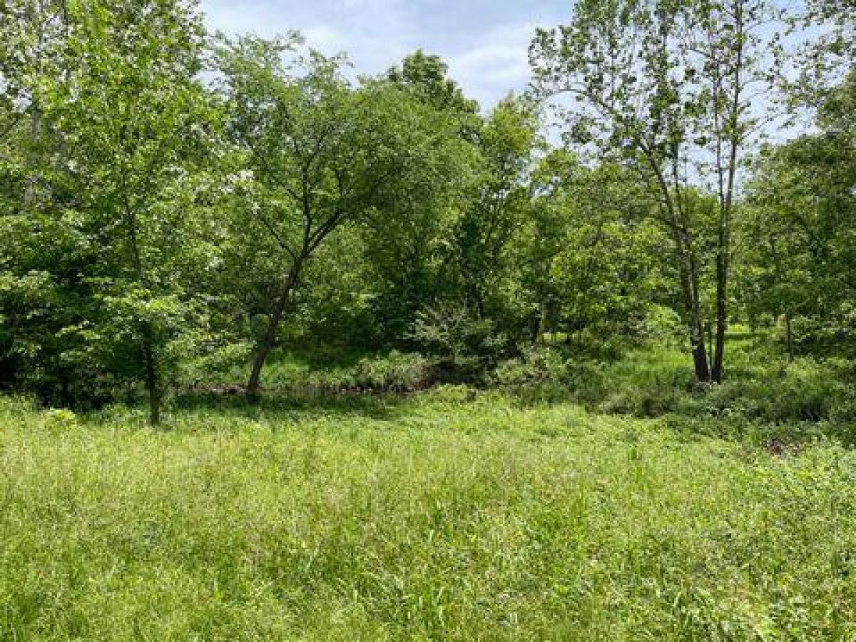 Picture of Residential Land For Sale in Tunas, Missouri, United States