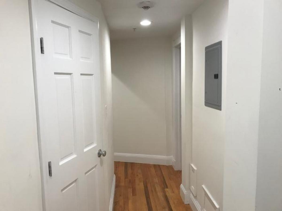 Picture of Apartment For Rent in Allston, Massachusetts, United States