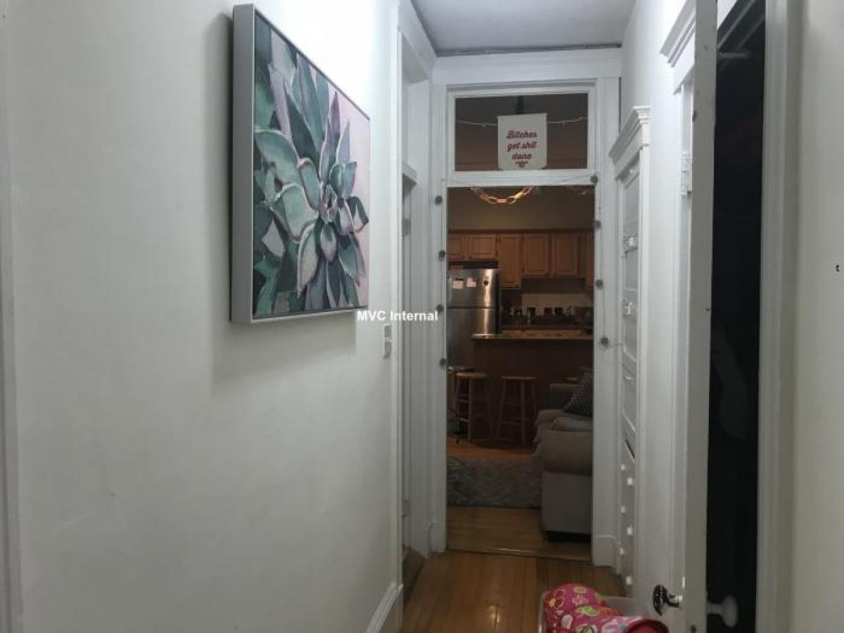 Picture of Apartment For Rent in Allston, Massachusetts, United States