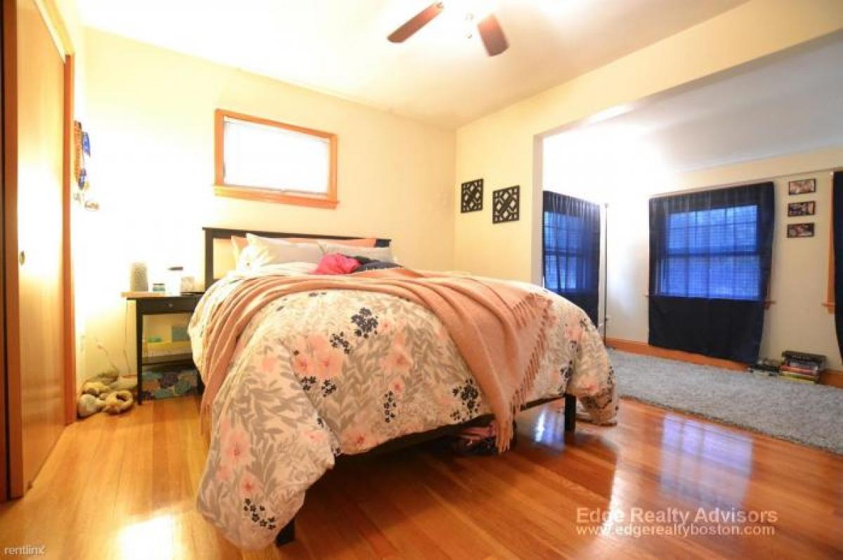 Picture of Apartment For Rent in Allston, Massachusetts, United States