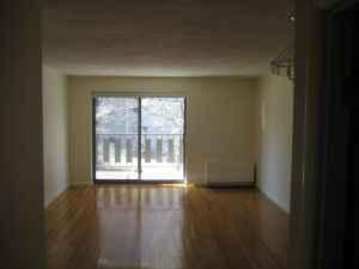 Picture of Condo For Rent in Brookline, Massachusetts, United States