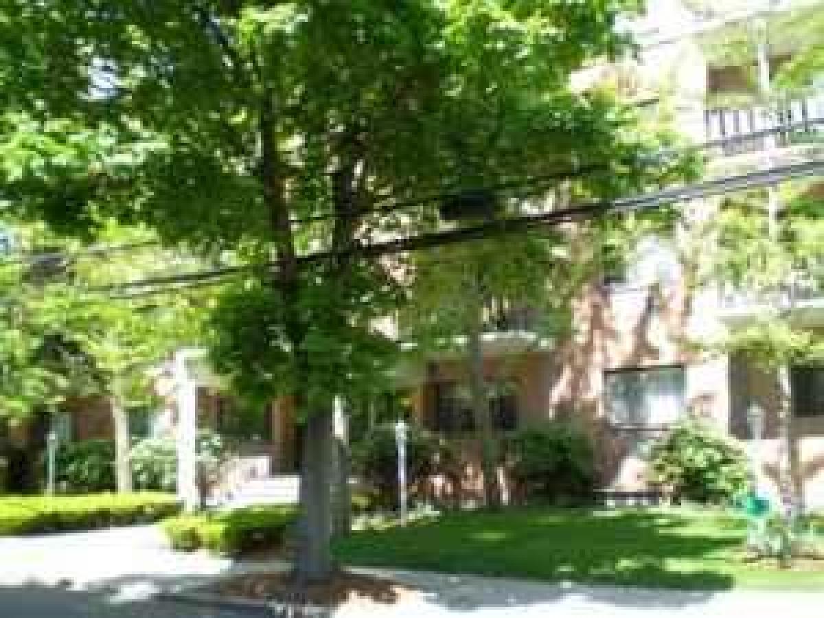 Picture of Condo For Rent in Brookline, Massachusetts, United States