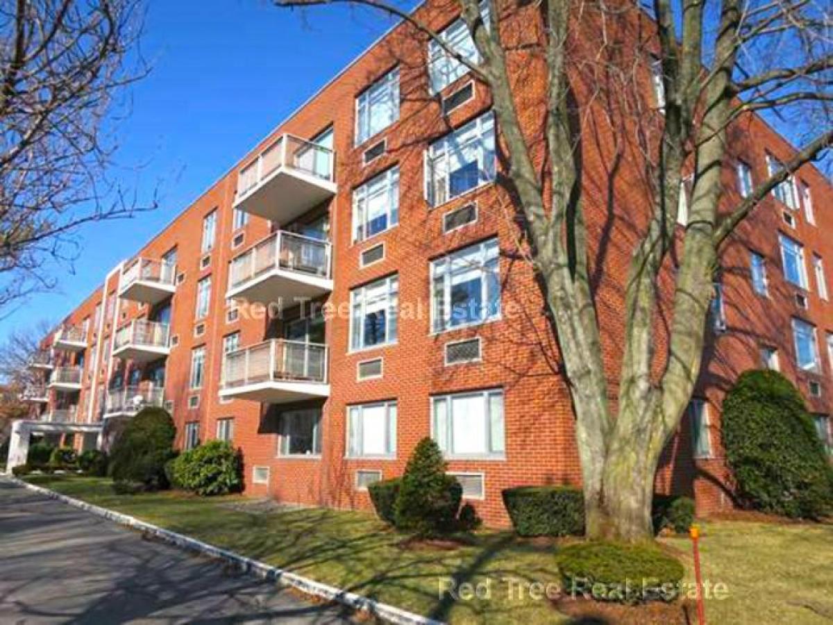 Picture of Condo For Rent in Brookline, Massachusetts, United States