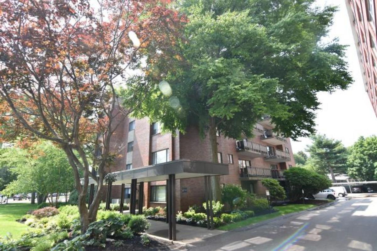 Picture of Condo For Rent in Brookline, Massachusetts, United States