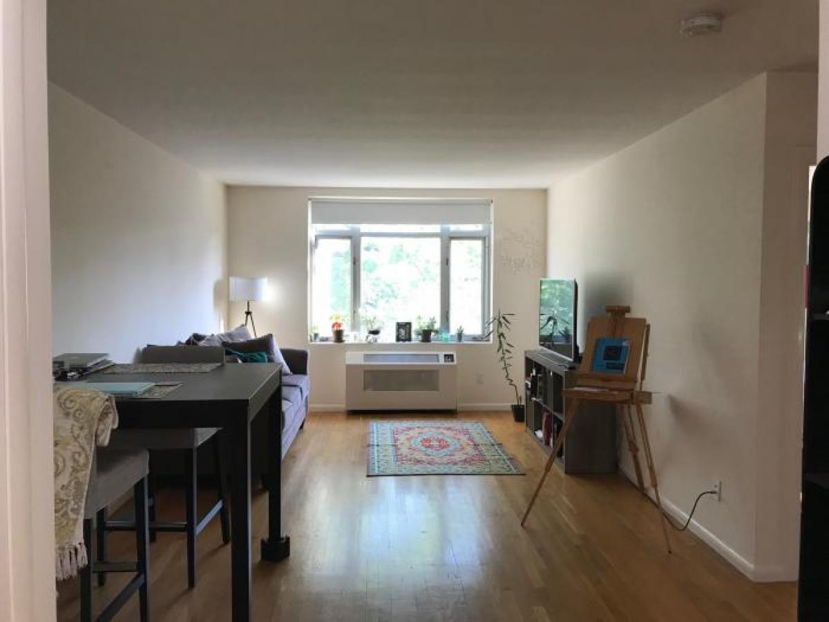 Picture of Condo For Rent in Brookline, Massachusetts, United States