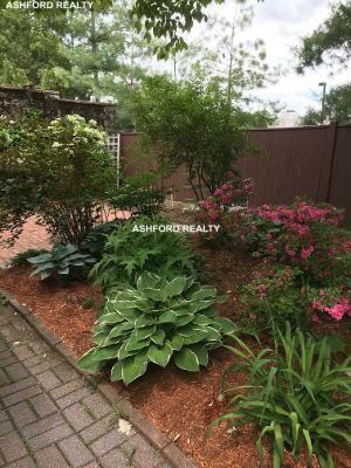 Picture of Condo For Rent in Belmont, Massachusetts, United States