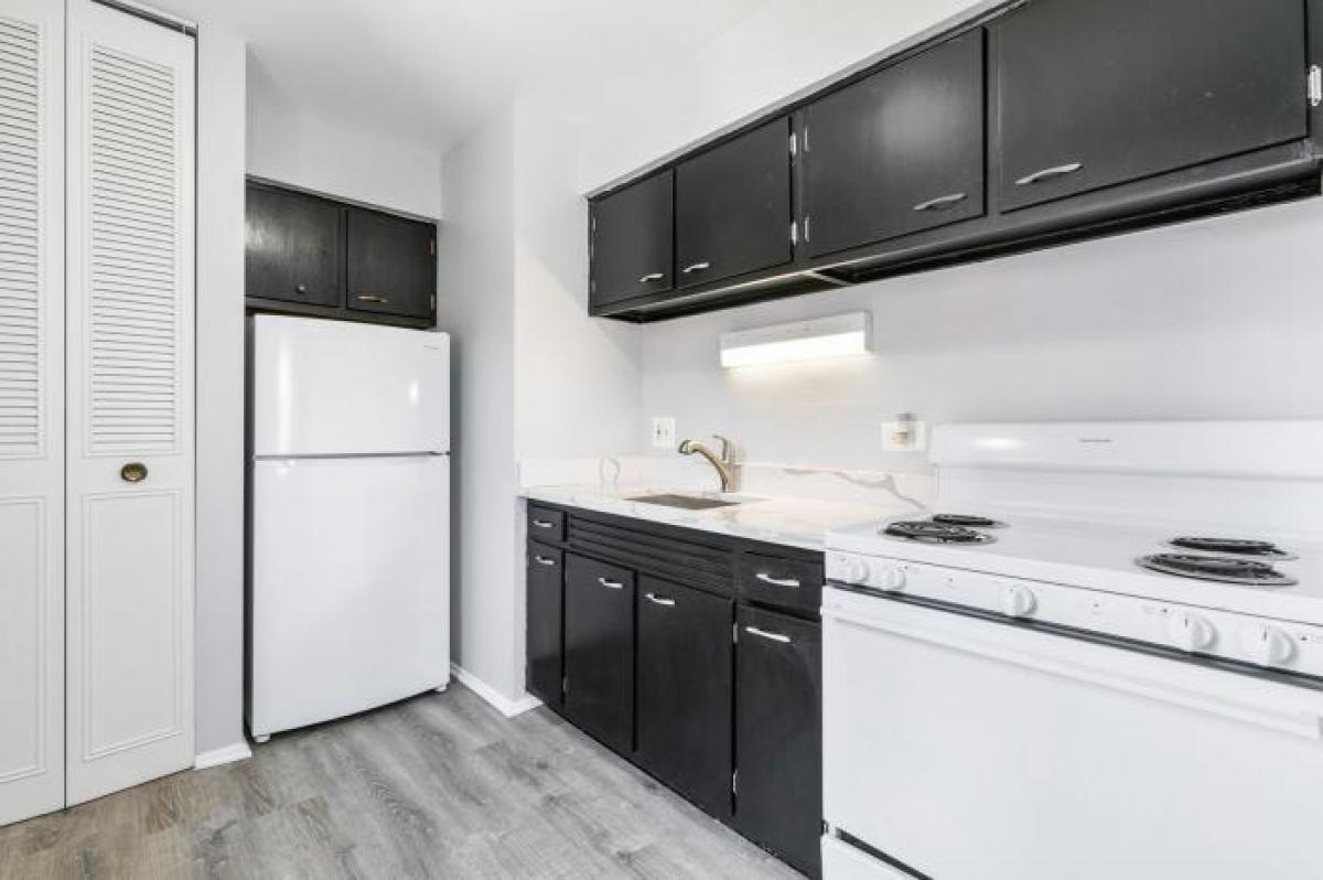 Picture of Condo For Rent in Chicago, Illinois, United States