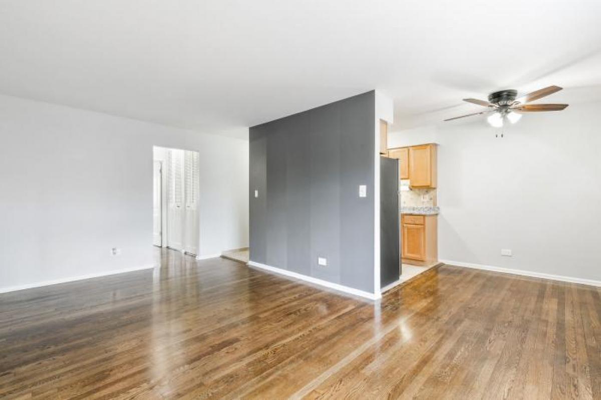 Picture of Condo For Rent in Chicago, Illinois, United States