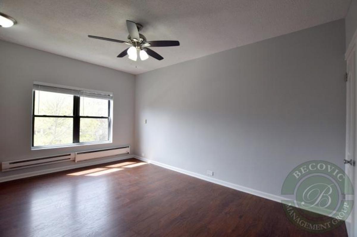 Picture of Condo For Rent in Chicago, Illinois, United States