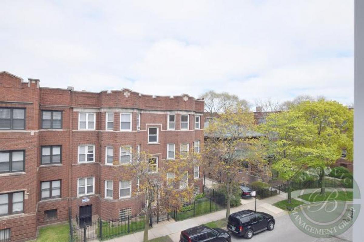 Picture of Condo For Rent in Chicago, Illinois, United States