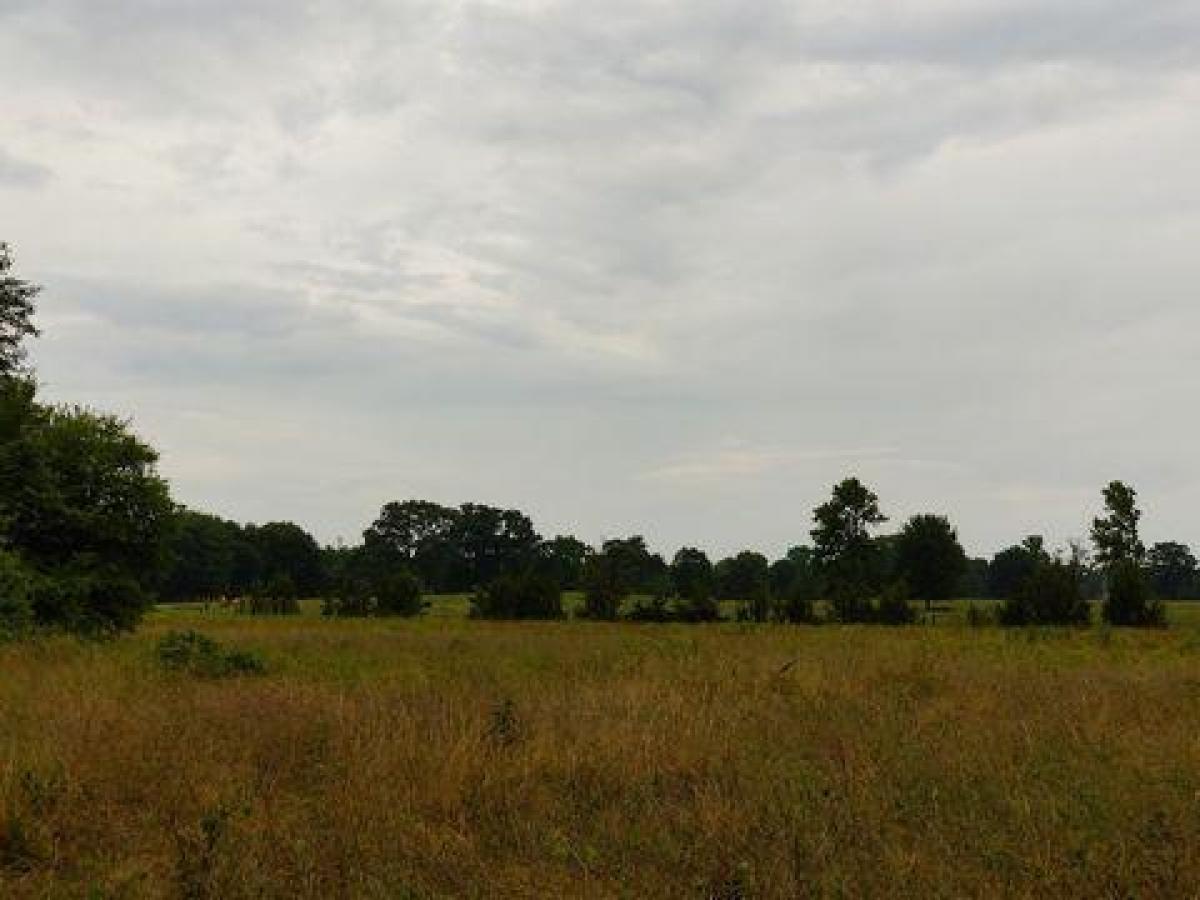 Picture of Residential Land For Sale in De Kalb, Texas, United States