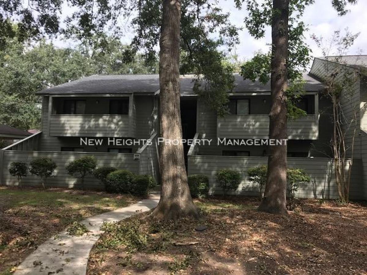 Picture of Condo For Rent in Mount Pleasant, South Carolina, United States