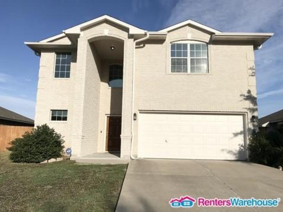 Picture of Home For Rent in Austin, Texas, United States