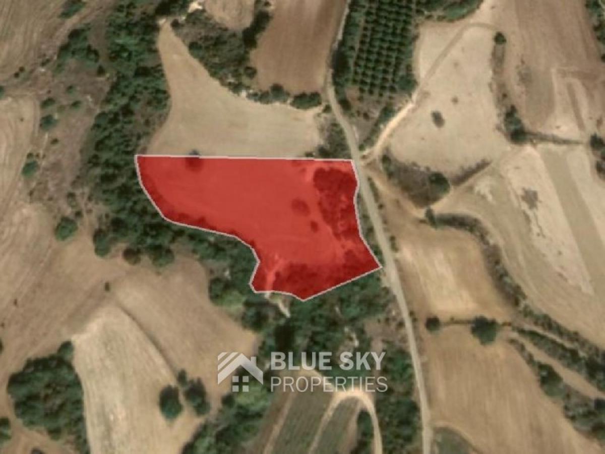 Picture of Residential Land For Sale in Polis Chrysochous, Paphos, Cyprus