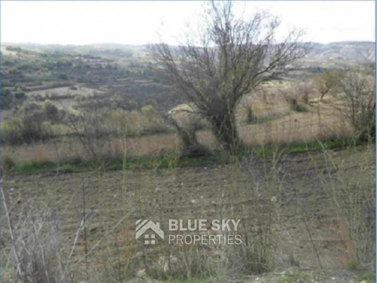 Picture of Residential Land For Sale in Drimou, Paphos, Cyprus