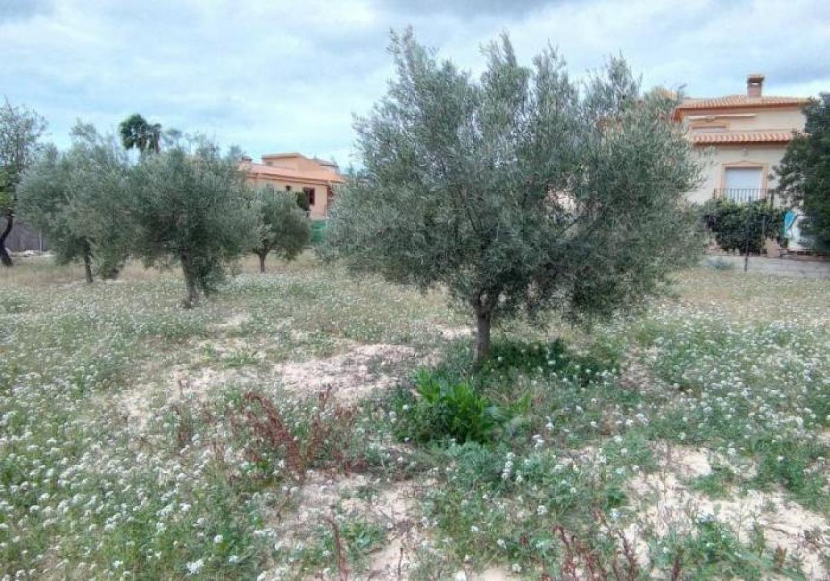 Picture of Residential Land For Sale in Calpe, Alicante, Spain