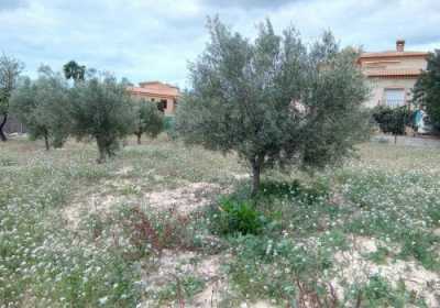 Residential Land For Sale in Calpe, Spain