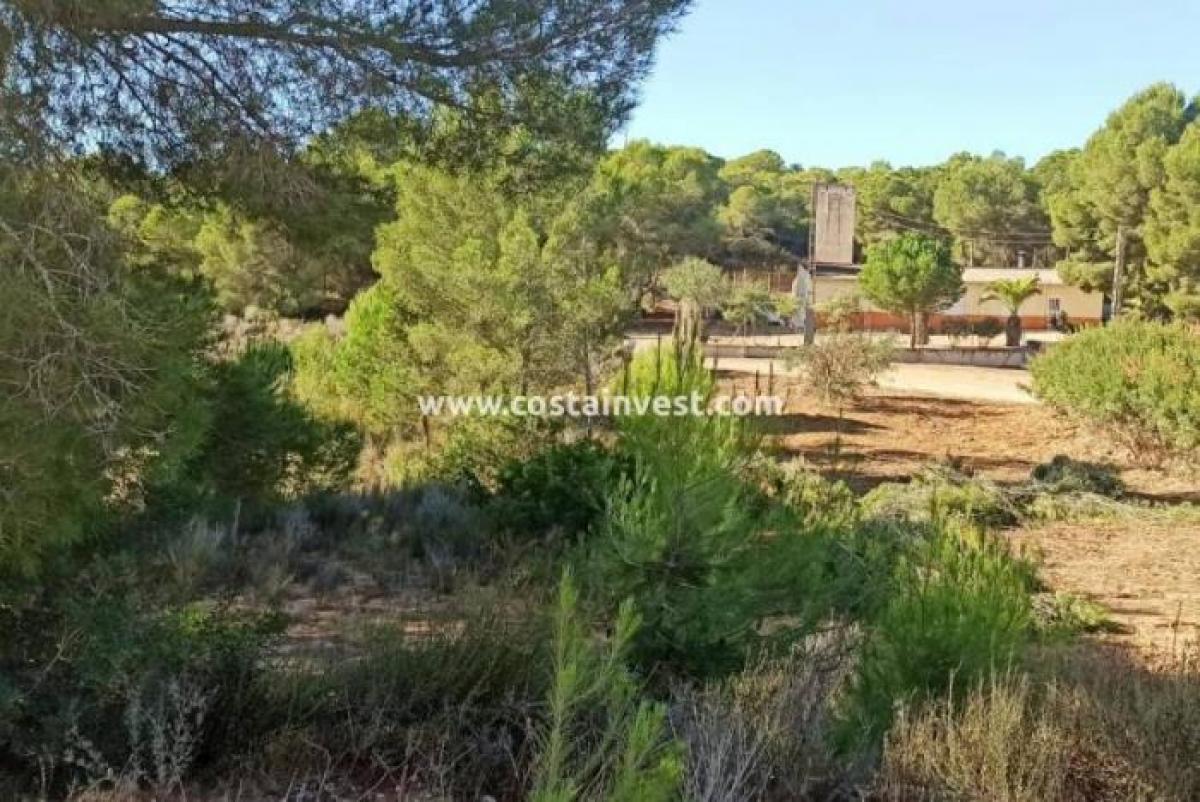 Picture of Residential Land For Sale in Pilar De La Horadada, Alicante, Spain