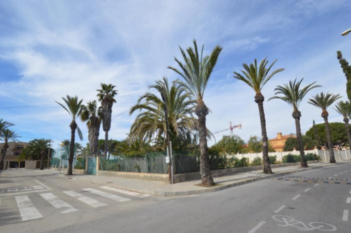 Picture of Residential Land For Rent in Orihuela Costa, Alicante, Spain