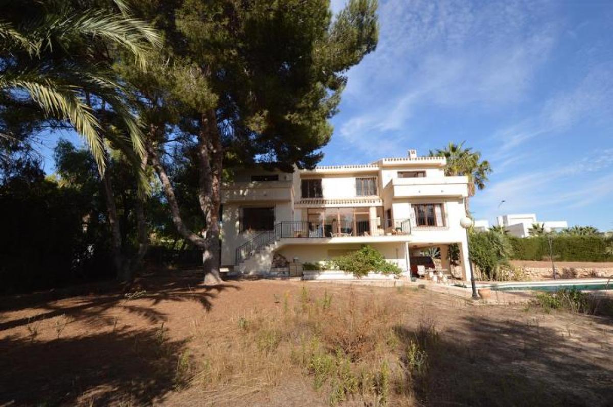 Picture of Villa For Rent in Orihuela Costa, Alicante, Spain