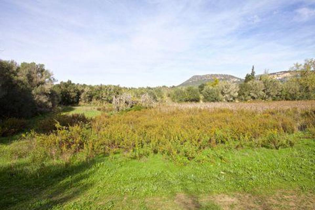 Picture of Residential Land For Sale in Llucmajor, Mallorca, Spain