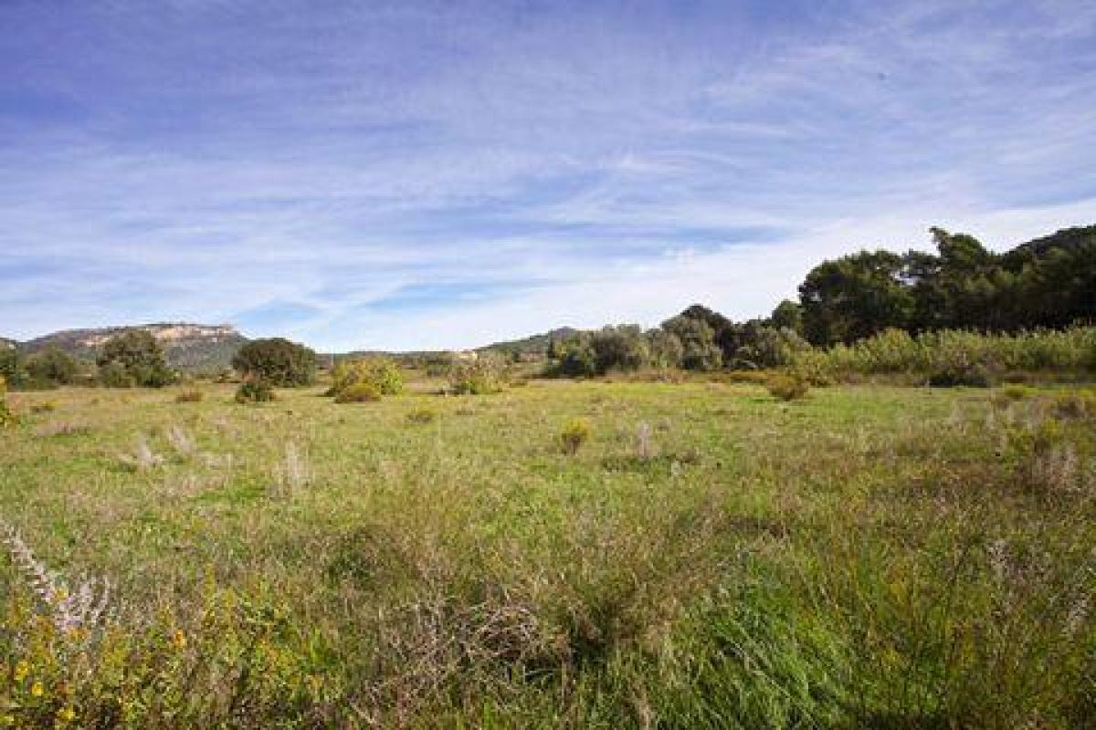 Picture of Residential Land For Sale in Llucmajor, Mallorca, Spain