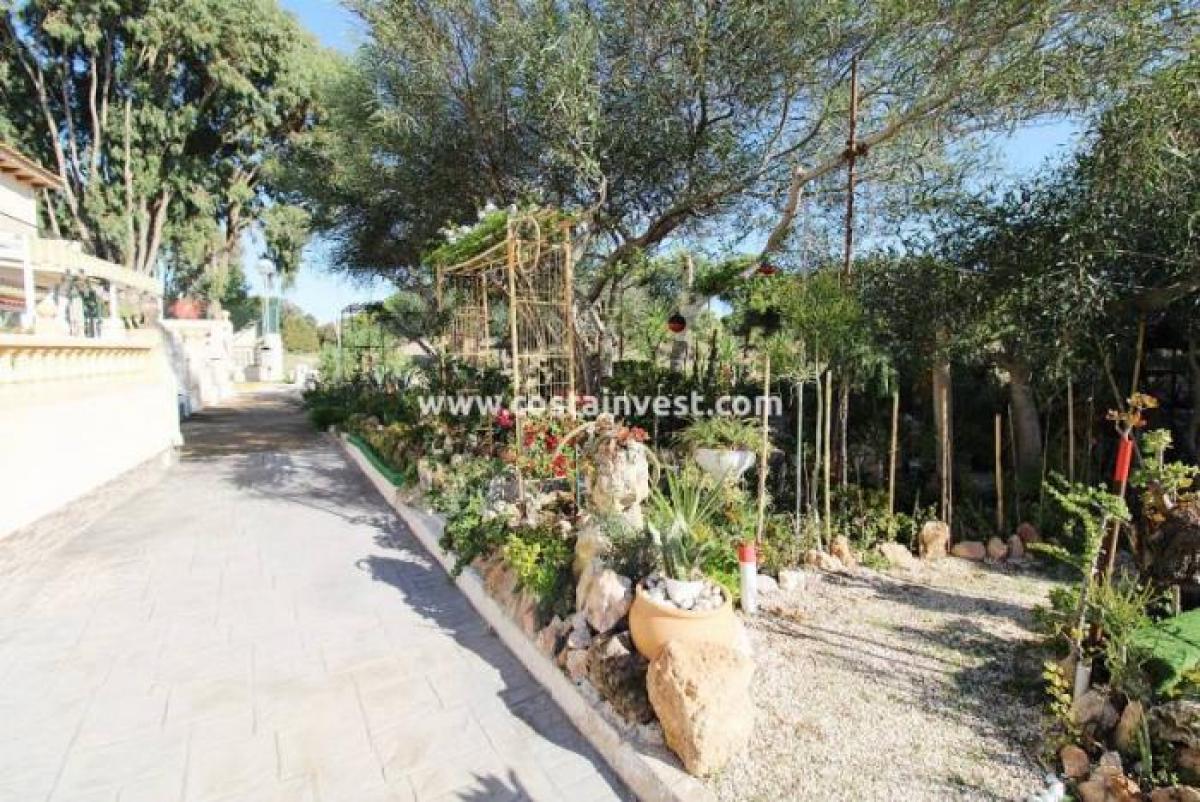 Picture of Home For Sale in La Mata, Alicante, Spain